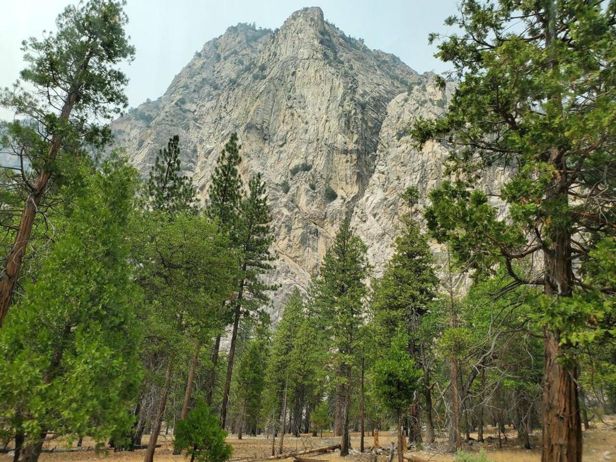 Sequoia Glen Villa Wilsonia Екстериор снимка