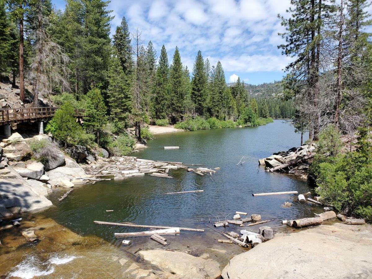 Sequoia Glen Villa Wilsonia Екстериор снимка